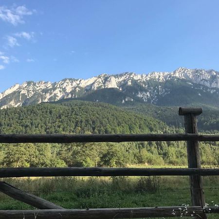 Pensiunea Kyfana Zărneşti Kültér fotó