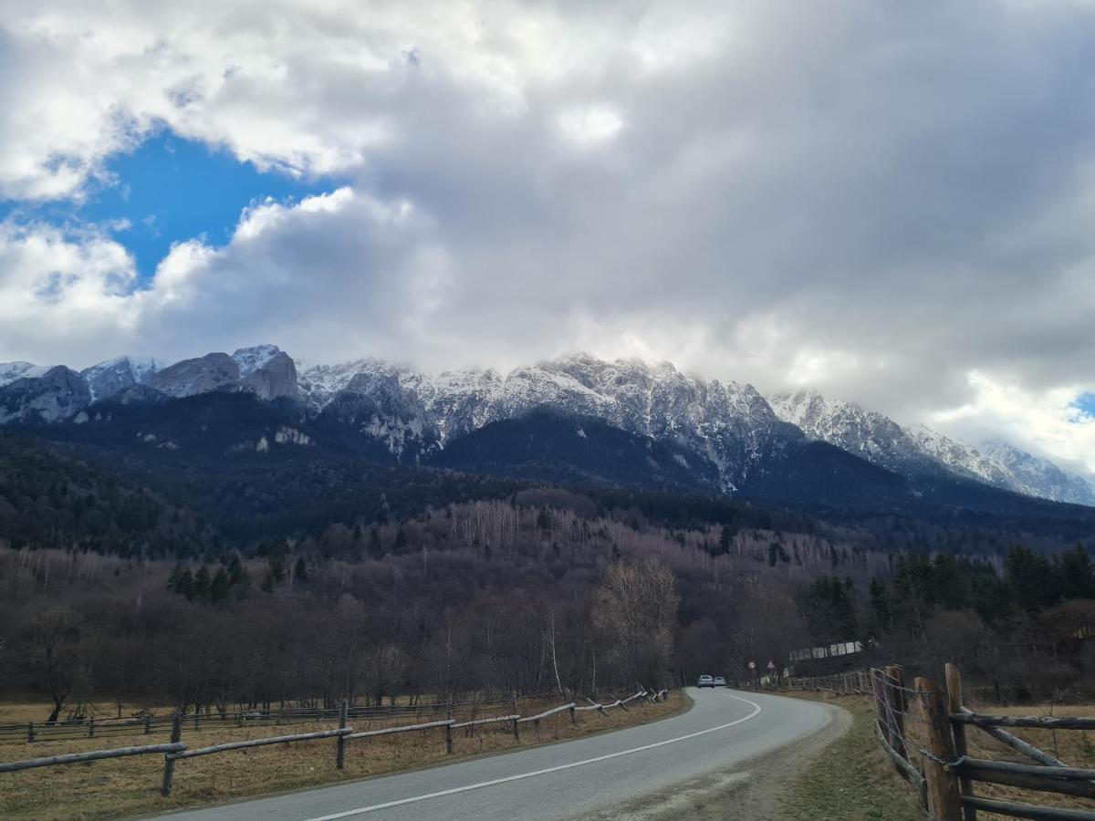 Pensiunea Kyfana Zărneşti Kültér fotó