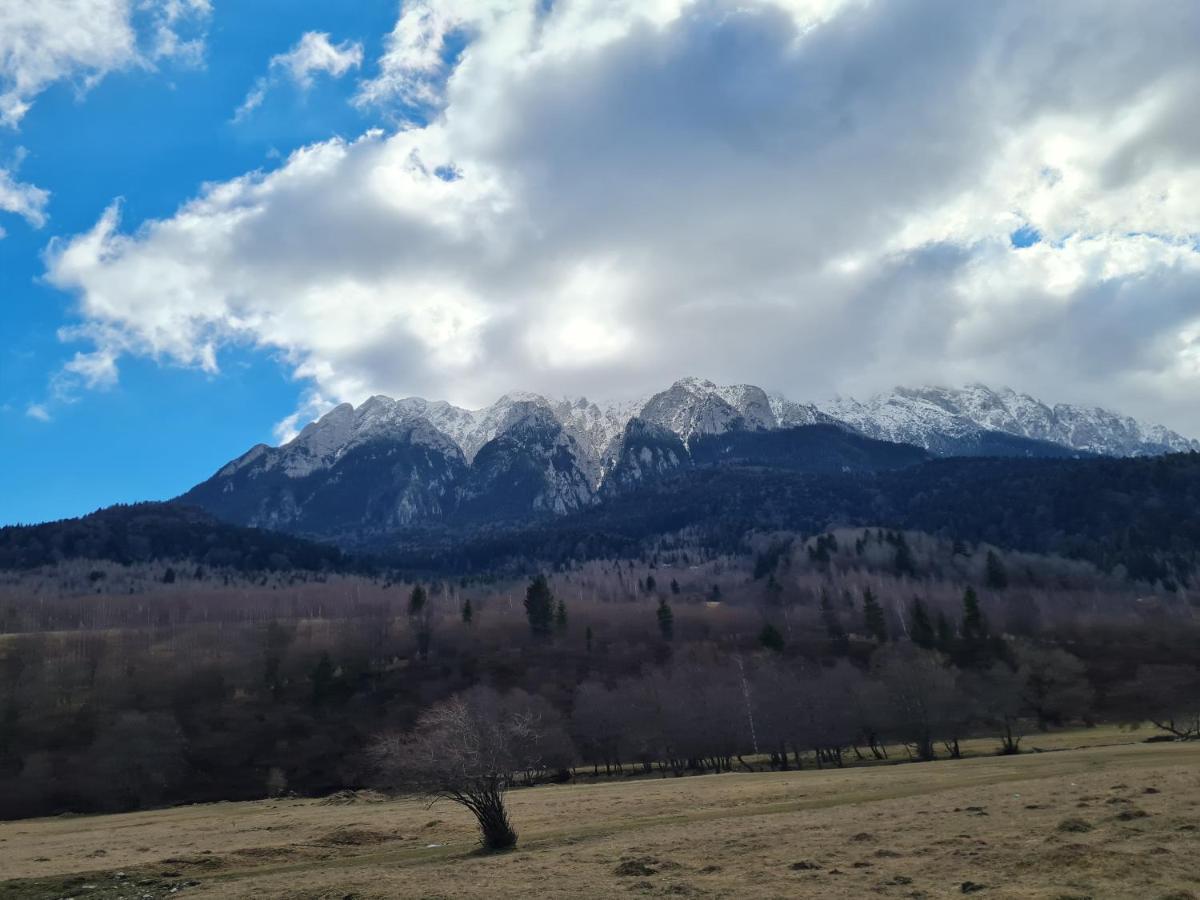 Pensiunea Kyfana Zărneşti Kültér fotó