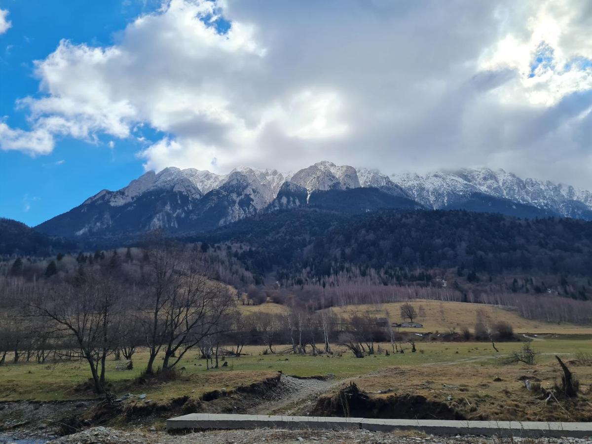 Pensiunea Kyfana Zărneşti Kültér fotó