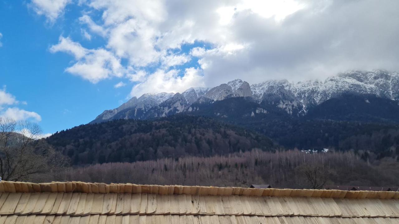 Pensiunea Kyfana Zărneşti Kültér fotó