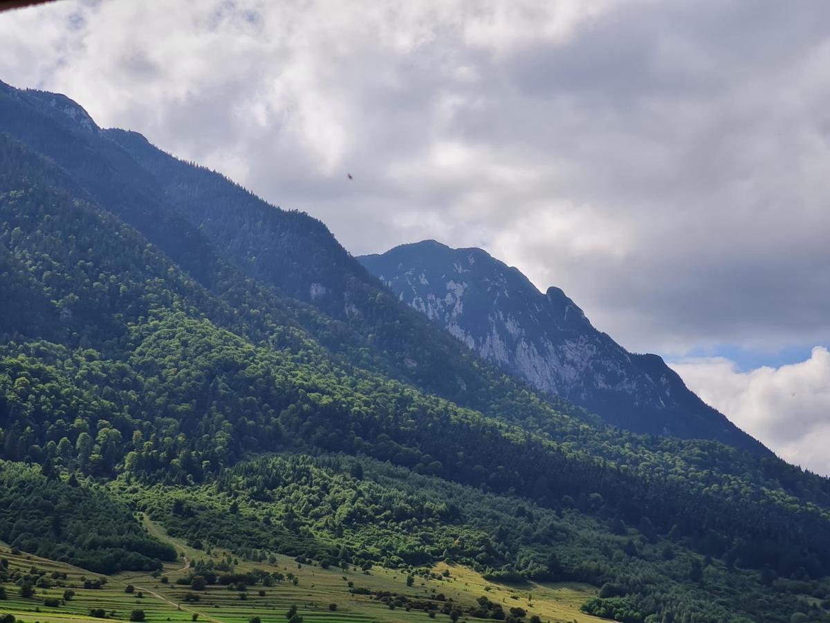 Pensiunea Kyfana Zărneşti Kültér fotó