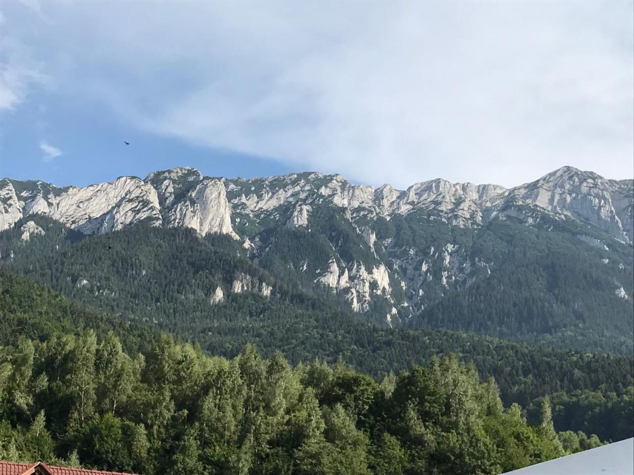 Pensiunea Kyfana Zărneşti Kültér fotó